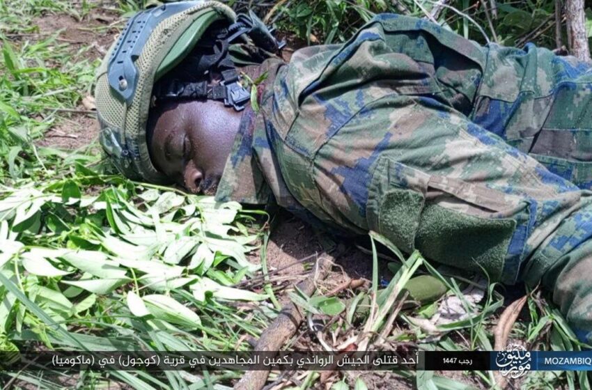  ولاية موزمبيق – صور: كمين استهدف دورية للقوات الرواندية الصليبية في قرية (كوجول) بمنطقة (ماكوميا) في شمال موزمبيق