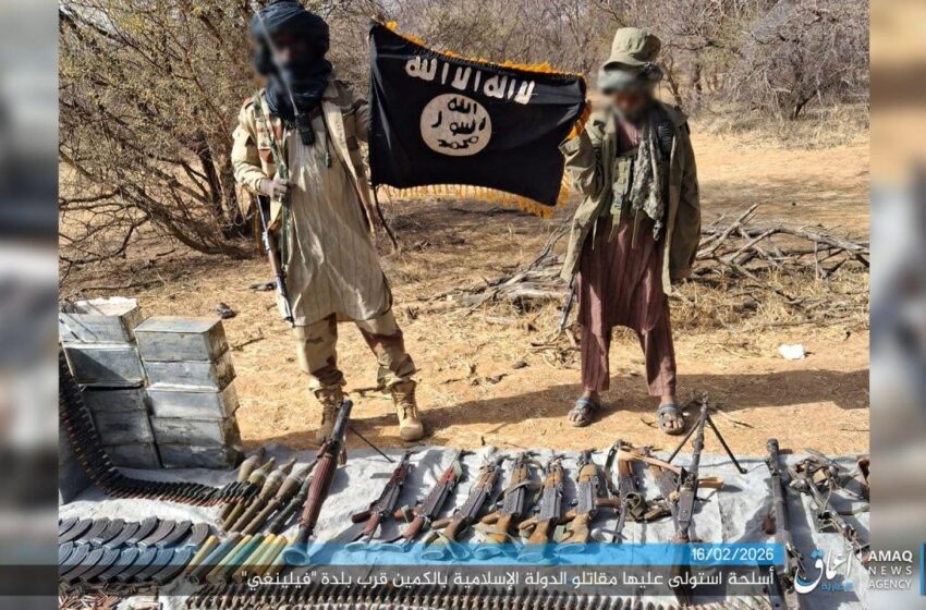  مقتل 7 جنود من قوات النيجر بكمين محكم للدولة الإسلامية غرب البلاد