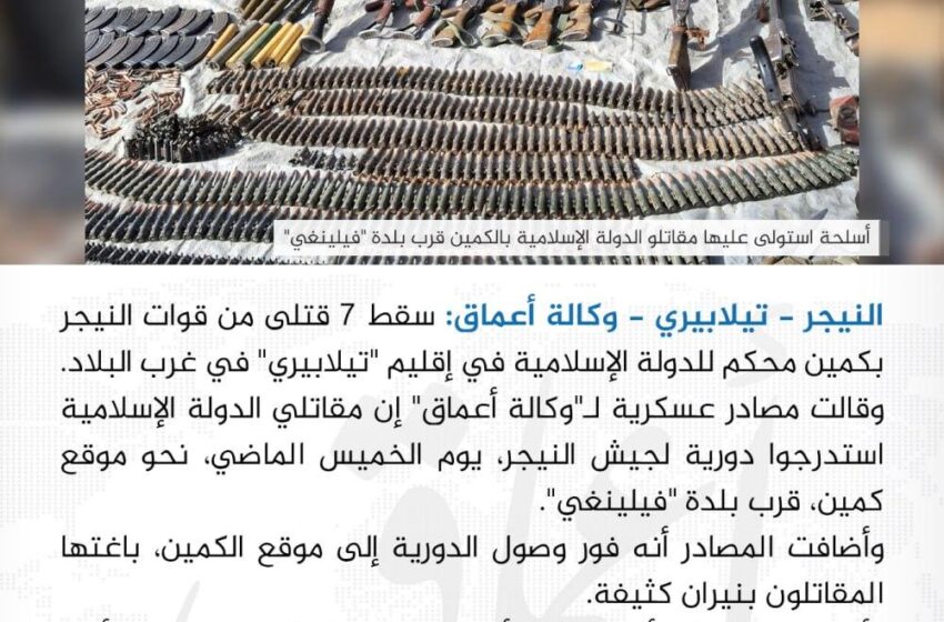  وكالة أعماق: مقتل 7 جنود من قوات النيجر بكمين محكم للدولة الإسلامية غرب البلاد